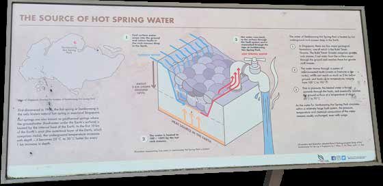 Early hydrogeological study